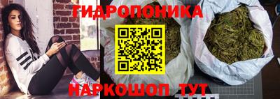 сатива Изобильный